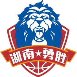 长沙勇胜 Logo