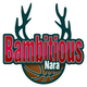 奈良雄心 Logo