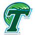 杜兰女篮 Logo