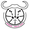 佩斯424女篮 Logo