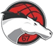 莱切斯特骑士女篮 Logo