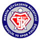 梅尔辛BBGSK Logo