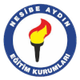 内西贝艾登女篮 Logo