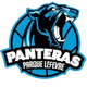 潘多拉女篮 Logo