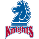 费尔莱迪金森大学 Logo