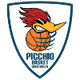 西维尔诺瓦马尔凯女篮 Logo