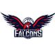 纽卡素猎隼女篮 Logo