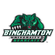宾汉顿大学 Logo
