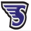 斯通希尔学院女篮 Logo