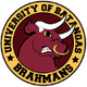 UB婆罗门牛 Logo