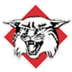戴维森学院 Logo