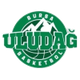 布尔萨女篮 Logo