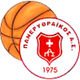 帕内利特莱克斯 Logo