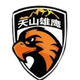 新疆天山U21 Logo