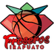 弗雷塞罗斯 Logo