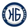 尼古拉耶夫尼科 Logo