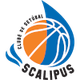 斯卡利普斯U21 Logo