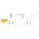 普罗旺斯福斯U21 Logo