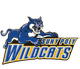 纽约州立大学理工学院 Logo