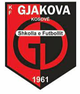 贾科维察 Logo