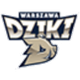 尼萨克洛兹科 Logo
