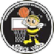 山梨县蜂王女篮 Logo