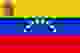 委内瑞拉女篮 Logo
