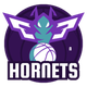 夏洛特黄蜂 Logo