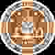 西密歇根女篮 Logo