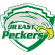 JR东秋田精神 Logo