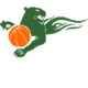 阿特劳飞豹B队 Logo