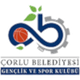 乔尔卢贝莱迪耶西 Logo