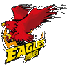 青岛国信海天后备队 Logo