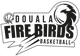 杜阿拉火鸟 Logo
