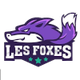 莱斯福克斯女篮 Logo