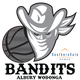 奥伯里沃东加大盗女篮 Logo