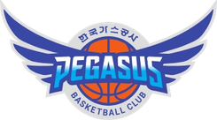 大邱石油公社飞马 Logo