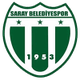 萨拉伊市立体育 Logo