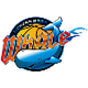 四川金强蓝鲸后备队 Logo