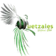 格查雷斯女篮 Logo
