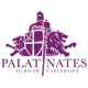 达勒姆普法尔茨女篮 Logo