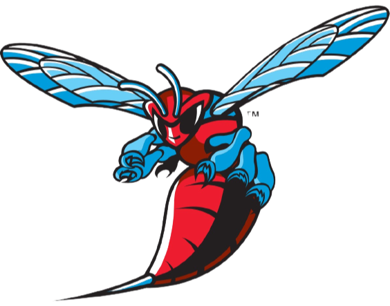 特拉华州女篮 Logo