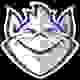 圣路易斯女篮 Logo