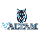 索阿查女篮 Logo