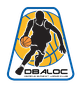 杜波路斯女篮 Logo