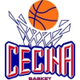 切奇纳 Logo