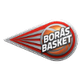 波拉斯 Logo