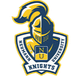 诺伊曼大学 Logo