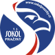 普拉日斯基 Logo
