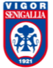 Vigor塞尼加利亚U19 Logo